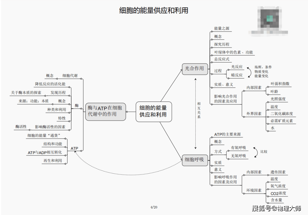 三肖三期必出特马,微观经济分析与应用——{关键词3}