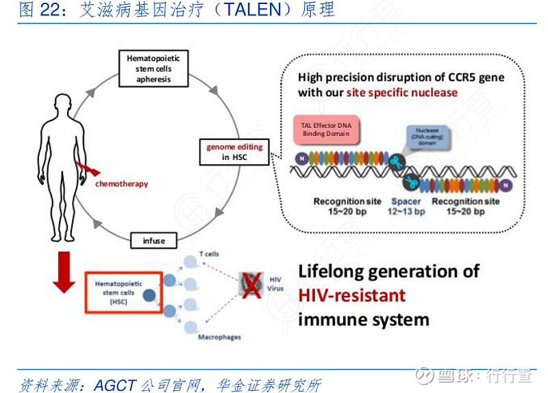 法艾滋病病毒感染者实现功能性治愈，曙光初现的希望与挑战