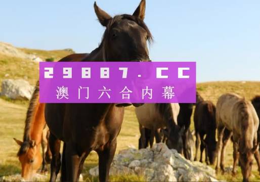 澳门管家婆一肖一码一助你建立良好用户体验,澳门管家婆一肖一码一_{关键词3}