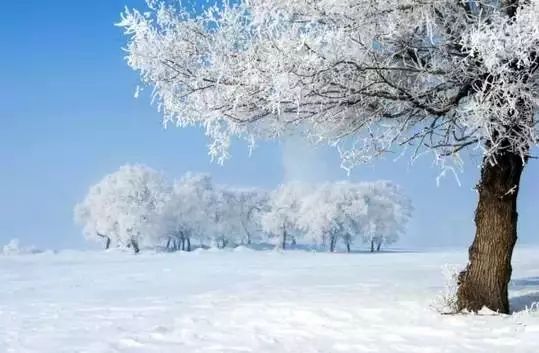 西安的雪下出东北的气势