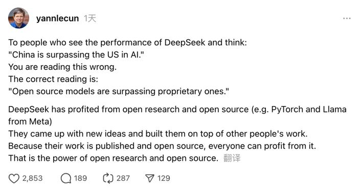 紧急警示！DeepSeek危机逼近！揭秘背后真相，悬念重重待解