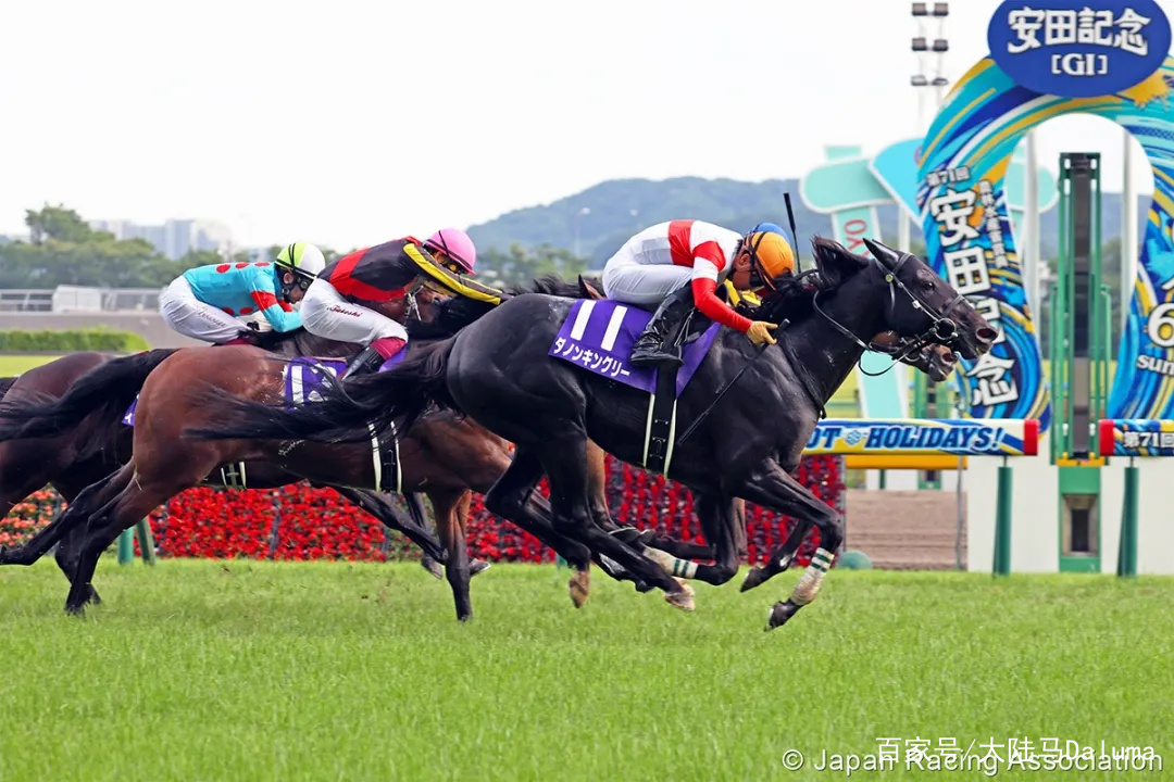 香港特马资料王中王成功之路的关键要素,香港特马资料王中王_限量版43.484