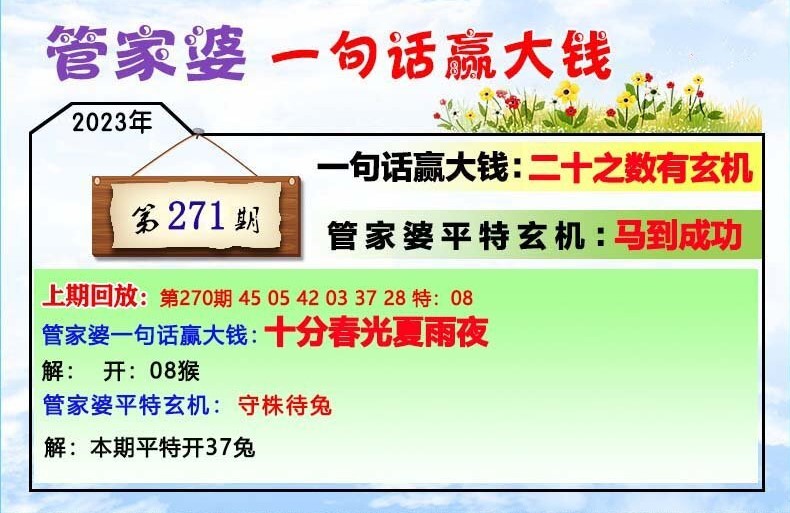 202管家婆一肖一码，揭秘最新智慧与专业版14.748的终极玄机！你绝对想不到的真相！