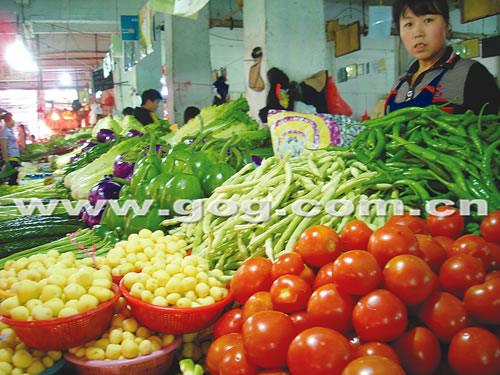 蔬菜价格大跳水，究竟隐藏着什么秘密？深度解析背后的原因与影响！学校资源视角全新解读。