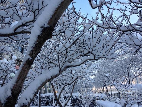 北京3月飘雪正常吗？专家解读