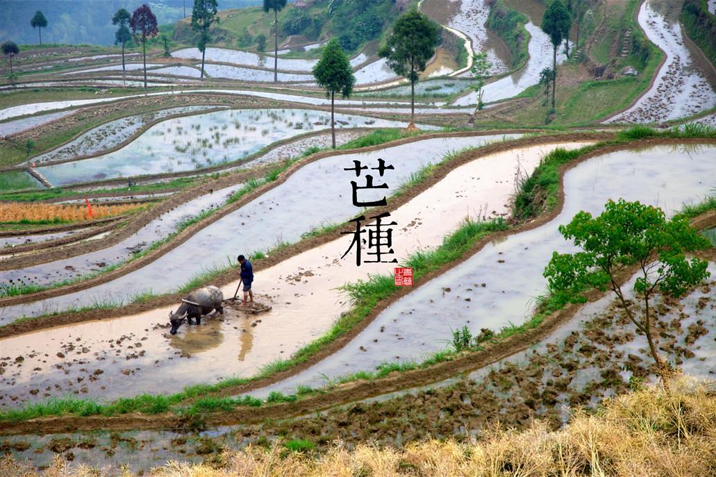 惊！‘热热热’即将席卷全国，你准备好了吗？——这份生存指南必须收藏！